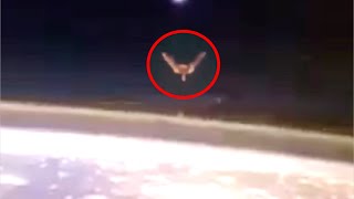 NASA Shuts Down The Live Feed After Something Massive Shows Up At The International Space Station [upl. by Adnawahs]