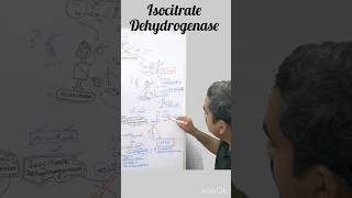 Isocitrate Dehydrogenase TCA Cycle II Step [upl. by Naul]