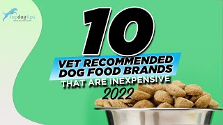 10 Vet Recommended Dog Food Brands That are Inexpensive 2022 [upl. by Cummins174]