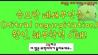 승모판막 폐쇄 부전증 승모판역류증 Mitral regurgitation 원인과 해부학적 기전 [upl. by Melia]