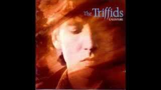 the Triffids  hometown farewell kiss [upl. by Suoiluj]