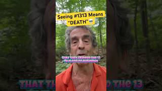 Why You’re Seeing Angel 1313 NOT WHAT YOU THINK Ancient Numerology Secrets [upl. by Surtimed]