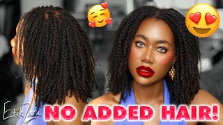 HowTo JUICY MicroMINI TWISTS on ANY Hair Type ZERO EXTENSIONS 4c4b4a  EfikZara [upl. by Potter355]