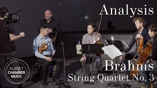 Analysis Brahms String Quartet No 3 in B Major op 67  Schumann Quartett [upl. by Bertle]