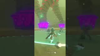 Fastest Takedown of Vah Naboris zelda botw [upl. by Novaj]