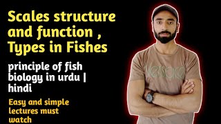 Scales structure and function  Types in Fishes  Fish biology  Asim zoologist Scales [upl. by Hamehseer]