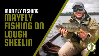 Mayfly fishing on Lough Sheelin  Iron Fly Fishing [upl. by Etnoed]