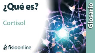 CORTISOL Qué es qué órgano la segrega efectos en qué estructuras del cuerpo actúa [upl. by Stig962]