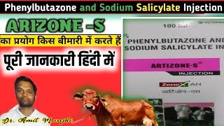 ArtizoneS आर्टिजोनएस Phenylbutazone and Sodium Salicylate Injection कौन सी बीमारी में कैसे दे [upl. by Aidole]