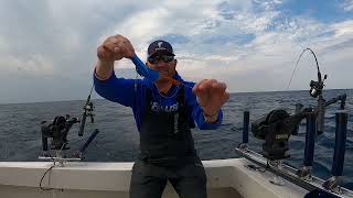 DUBRO Fishing Release Clip On Jet Diver [upl. by Neibaf]