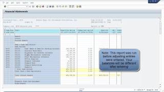 SAP Run Financial Statements [upl. by Nickolas]