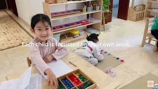 Montessori work cycle [upl. by Arlynne]