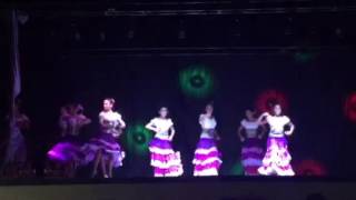 DANZA VIVA FIESTAS DE LOECHES 20163 [upl. by Elacsap]