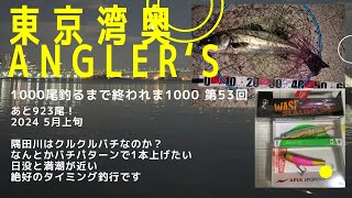 【東京湾奥】隅田川 2024バチパターンシーバス！ついに？ヒットルアーは？【シーバス釣り】2024 5月上旬 Can We Catch Fish In Tokyo Bay 52 [upl. by Enilkcaj]