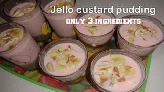 jello custard pudding with only 3 ingredientsine low budget recipwithout oven by hom style [upl. by Otir883]