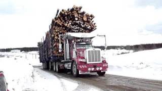 Transport SD Chapais QC Canada Logger [upl. by Yee858]