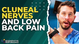 Cluneal Nerves and Low Back Pain  DailyDocTalk 115 [upl. by Annemarie]