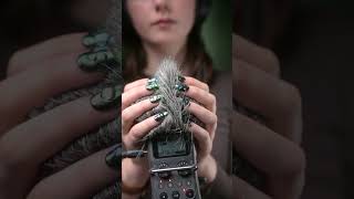 A slow and precise Scalp Massage l No Talking ASMR [upl. by Imled682]