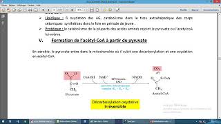 Métabolisme des glucides 2 [upl. by Ellened]