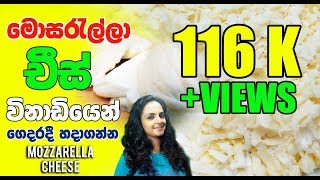 How to make Quick Mozzarella cheese at home මොසරැල්ලා චීස් විනාඩියේන් ගෙදරදී හදාගන්න [upl. by Eiramit]