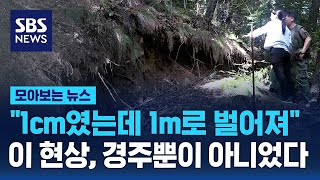 quot1cm였는데 1m로 벌어져quot 이 현상 경주뿐이 아니었다  SBS  모아보는 뉴스 [upl. by Ahso]