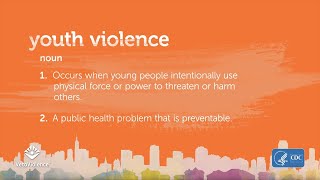 What is Youth Violence [upl. by Medrek349]