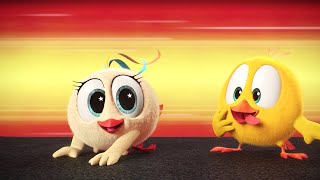 At full speed  Wheres Chicky  Cartoon Collection in English for Kids  New episodes HD [upl. by Bond570]