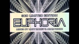 Limited Edition Euphoria Disc 15 Plummet  Damaged Antillas Remix [upl. by Bethina77]