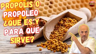 🐝 ¿QUE ES EL PROPOLIS O PROPOLEO Y PARA QUE SIRVE 🐝 [upl. by Torrin366]