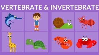 Vertebrate and Invertebrate animals  Video for Kids [upl. by Adnauqal]