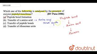 Which one of the following is catalysed by the presence of enzyme peptidyl transferase [upl. by Berte891]