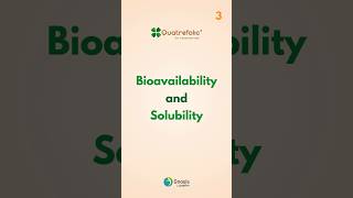 Solubility and Bioavailability [upl. by Llerrad156]