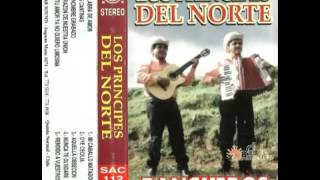 Los Principes del Norte Rancheros 2002 Completo [upl. by Petronille]