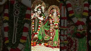 Doha tule bol re Krishna naam Jay Shri Radha Krishna song krishnacore littlekrishna shortvideo [upl. by Enail33]