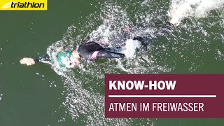 Wie atme ich im Freiwasser  KNOWHOW [upl. by Legim]