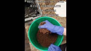 Grow Mushrooms At Home  CVG Coco Coir Vermiculite amp Gypsum [upl. by Nnep815]