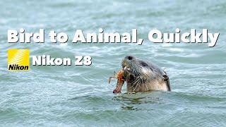 Bird to Animal Autofocus with One Button Nikon Z8Z9 [upl. by Toolis]