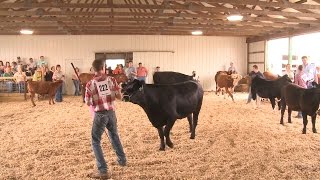 Common Ground 215  Beltrami County Fair [upl. by Shir600]