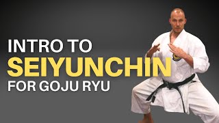 Goju Ryu Seiyunchin Kata Basics Part 1 A Detailed Introduction [upl. by Enyawed]