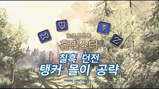 파판14 칠흑 던전 탱커 몰이 공략  홀민스터 Holminster Switch [upl. by Klotz]