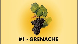 Cépage Sorcier 1  Le Grenache Noir  English Sub [upl. by Atnohsal850]