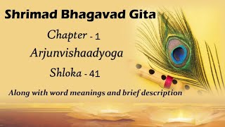 Srimad Bhagavad Gita Chapter 1 Sloka 41 l Bhagwat Geeta Saar l Gita Upadesh l Krishna motivational [upl. by Isyad]