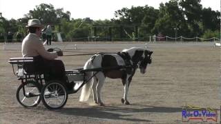 033D Things go VERY wrong in Combined Driving Dressage test WSS Vineyard Classic May 2012 [upl. by Vladimir602]