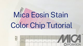 Mica Eosin Stain Color Chip Procedure [upl. by Sanjiv]