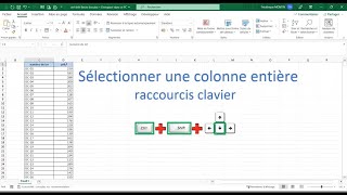 Sélectionner une colonne entière dun gros tableau rapidement [upl. by Ias]