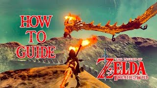 HOW TO DO DINRAAL DRAGON  DINRAALS SCALE  SPRING OF POWER  ZELDA BREATH OF THE WILD  SWITCH [upl. by Oneil]