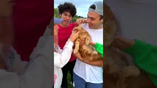 SURPRISING MY TWIN WITH HIS DREAM PET shortsfeed ytshortsfeed [upl. by Ava]