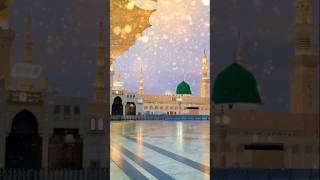 makka madina gangajal videoShortsYouTubeShortsViralTrendingshortsfeed [upl. by Eahsat674]