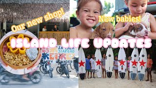 Were Back Island Life Updates New Surf Shop amp Cafe puppies and more [upl. by Cacilia836]