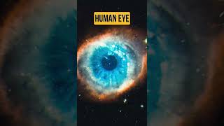 Helix Nebula as compared to Human Eye helixnebula humaneye galaxy nasa space spacediscovery [upl. by Roze]